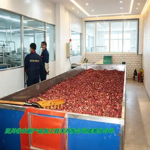 干辣椒干燥机 小辣椒烘干机(木山1型)高效烘干省电 保障干品品质