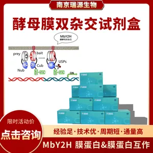 酵母膜双杂交试剂盒-高效-稳定-南京瑞源生物