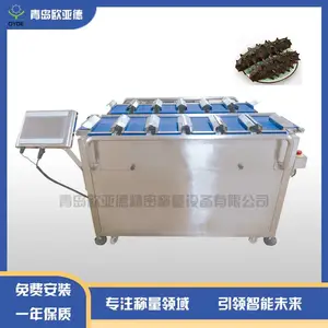 欧亚德智能高速配重秤重量自动分选机