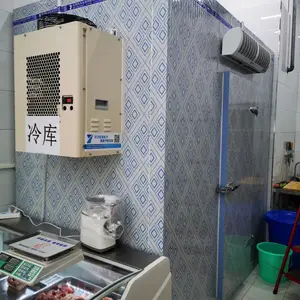 酒店专用小型冷冻库,全国批发销售,免费技术指导