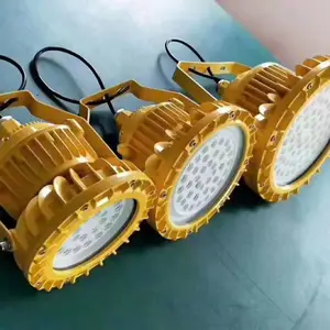 HRD91-20W,HRD91-30W,HRD91-50W防爆LED灯,ExdIIct4/T6