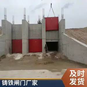 小型大型平板铸铁闸门 平面镶铜单向止水闸 铸铁滑动式闸门