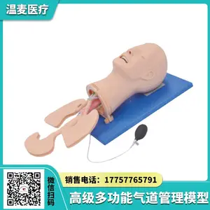 温麦医疗 ***多功能气道管理模型 口鼻腔气道插管急救 医学模拟人