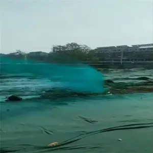 ��̨�н���ֳ�����������·�����ý������ֳ���