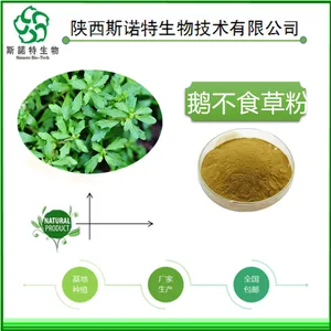 棕黄色粉末 鹅不食草提取物 现货包邮 鹅不食草浸膏粉斯诺特