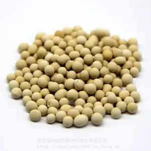 应用于异丁烯与甲醇醚化反应制MTBE的吸附剂 蓝晓科技