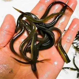 �������Ǹ���̨̬�������� �߲��������� ��������