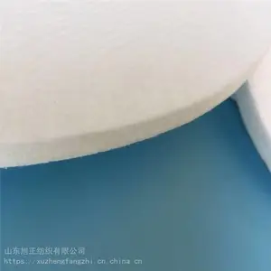山东发货丙纶针刺毡 PP食品级液体用丙纶棉