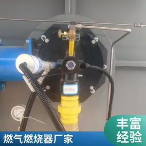 岱鼎燃烧 干燥炉阳极炉燃气烧嘴高炉煤气工业燃烧器裂解气源头厂家