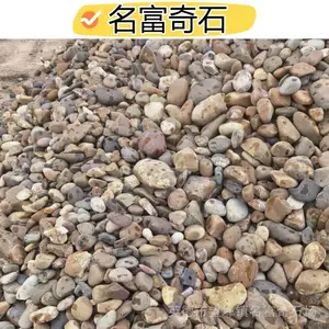 广东中山厂区步道铺鹅卵石 阳台鹅卵石布局效果 彩色抛光鹅卵石批发