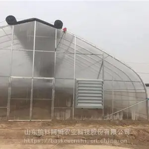 ���ҹ��ﾭ�����ó���ֱ��