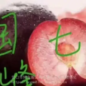 ����***����������_С������ɿ�������_�����ߺ�������***��