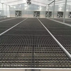 定制苗床网 温室蔬菜育苗床厂家 四川朝天椒育苗床