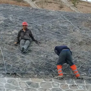 ���ܱ��·����� ���������� ����������ʵ�峧��