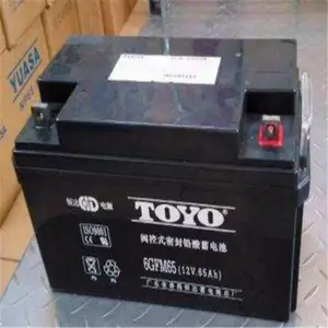 TOYO��������6GFM80 12V80AH��������Ѹ����ͻ�