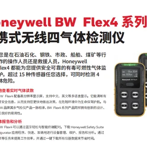 BW系列FLEX4气体检测仪 标准四气 性价比高