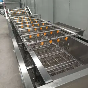 全自动化果蔬饮料生产线设备 水果 蔬菜 气泡清洗机 冲浪清洗机