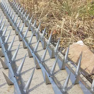 欧利特 供应不锈钢防爬刺钉 防盗墙刺 现货 也可定制