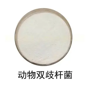 动物双歧杆菌-冻干型乳酸菌粉 食品级肠道调理活性益生菌粉原料