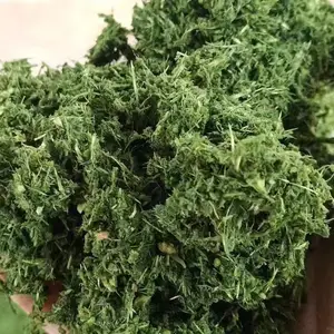 �����ʿ���ȼ�� ����ľм�ոѾ�ĩţ���ٻ�ѹ�������� ����������