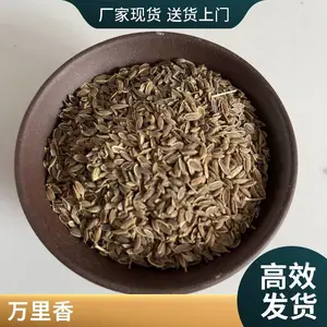 黄金桂中药材 满山香 含量高效果好 香料大全获证堂