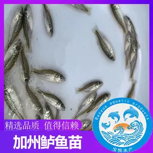 ����֣�ݳɻ�***��������������� ���ޱ�ʯ�����������ɹ�