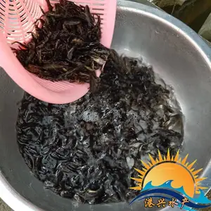 �㶫��Զ�ƹ������Լ����糡 ��ˮ�������� ȫ������ֱ��