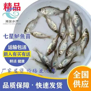 �ձ��������� ��ˮ���� �������� ����������ֳ����