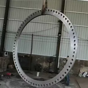广来定做异型碳钢不锈钢平焊对焊法兰盲板dn50-2000