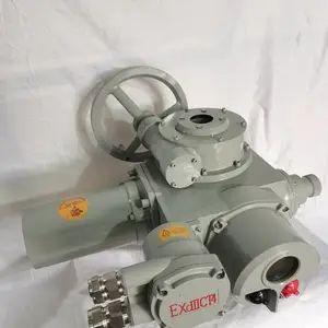 ��Ӧ�綯ִ����SFZ860-24I-1W���ת�綯װ��ԭ��