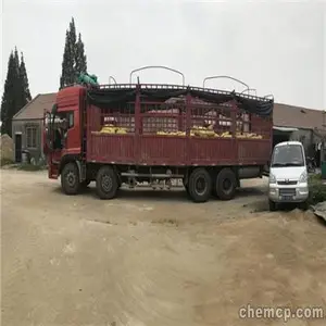 ��������������޹ཬ���ļ�*** ������ҵ