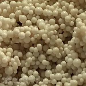 ������֬-������֬��Ԫ���Ϸ�ˮ���ܡ����ܷ�ˮ����