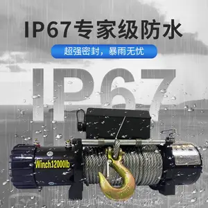 12000���綯����12V����С����24VС�;�������غ�«ԽҰ���Ծ�ǣ����