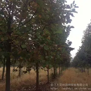 6���ְ������۸���� ���ɻ�