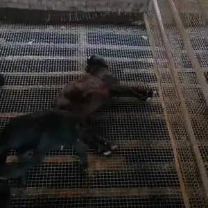 ��©�����ȶ�п��˿����©�����ȶ�п��˿��ֳ©�����ȶ�п��˿