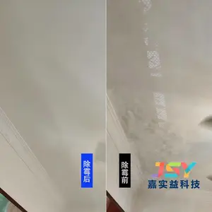 广州荔湾除霉公司 墙面除霉10分钟恢复白墙 及SPEL全屋防霉