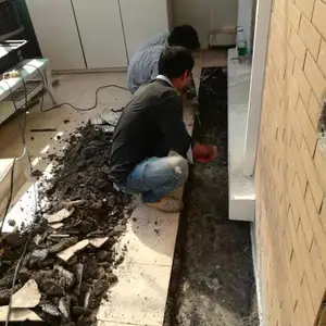 �������������©�������̶�