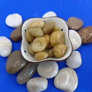 �껨ʯ������������ͥԺװ�α���⻬ ������
