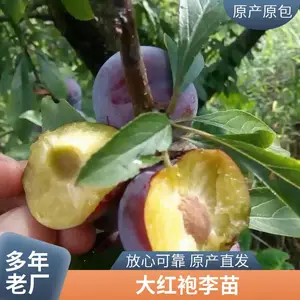 ���´����� ������� ���������� ��Ӳ��С�ڸ�����