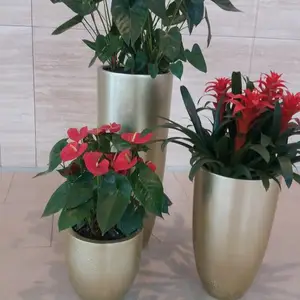 ����������ֲ���ޡ�����������ֲ�������Ӧ��