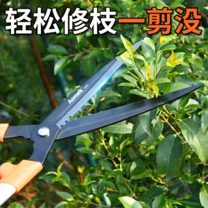 ������1002԰�ռ��������ƺ�޼���֦������԰�ִ������ʼ�