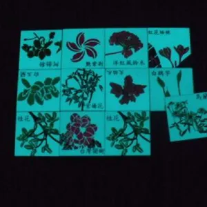 厂家直供夜光瓷砖,发光瓷砖,园林改造夜光砖