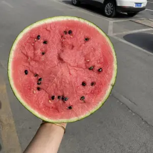 �������������������� ¶�������������ϲ��� ����ɳ�����ϻ���