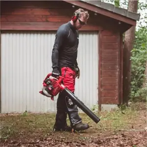 �ε»�EB252����ʽ����������������Ͷ�����ѩ��
