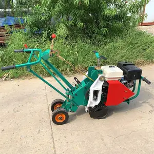 ��Ƥ���ݻ� �����ƺ������ ��ֲ��Ƥ���������ͻ�������