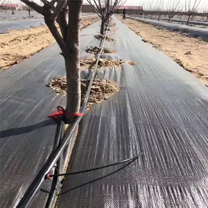��ȹ��� ���۹� �ι�ܲĵ���� 90��ȹ��߿�Դ�ι��