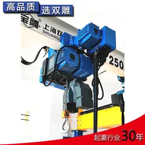 ��ʽ�綯��« ��Ƶ˫�� 125����250���� �������غ�«������ŷʽ
