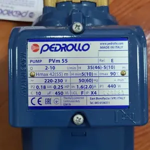 供应 PEDROLLO 泵 PVM55