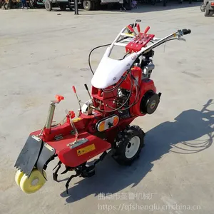 ��лƽ���ֲ�� ��������� �㽭ʡ�������ʩ�ʿ�����