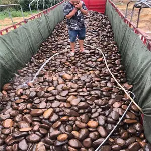 张掖 荣茂鹅卵石制砂机 路面铺设鹅卵石价格一吨多少钱